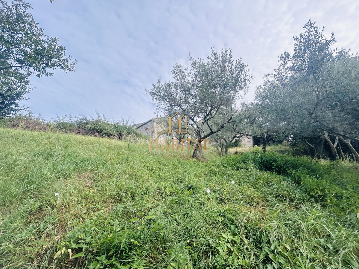 Istra, Draguć, Istrska postaja, 3 nepremičnine, narava