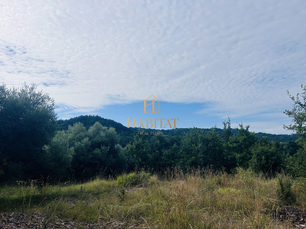 Istra, Draguć, Istrska postaja, 3 nepremičnine, narava