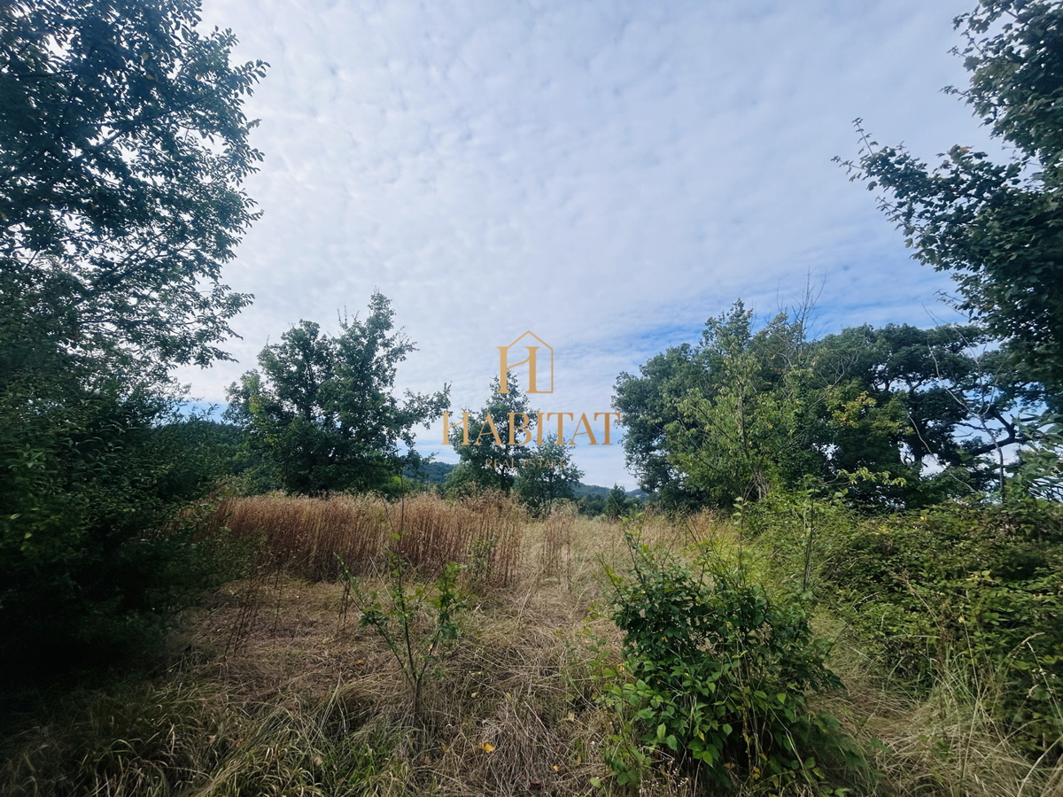 Istra, Draguć, Istrska postaja, 3 nepremičnine, narava