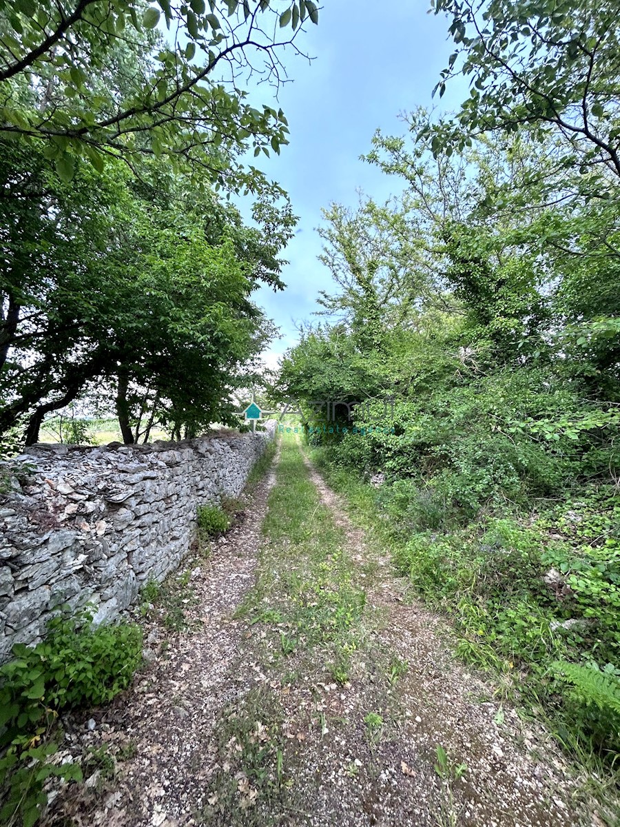 Istra, Vodnjan, 8229m2, kmetijsko zemljišče