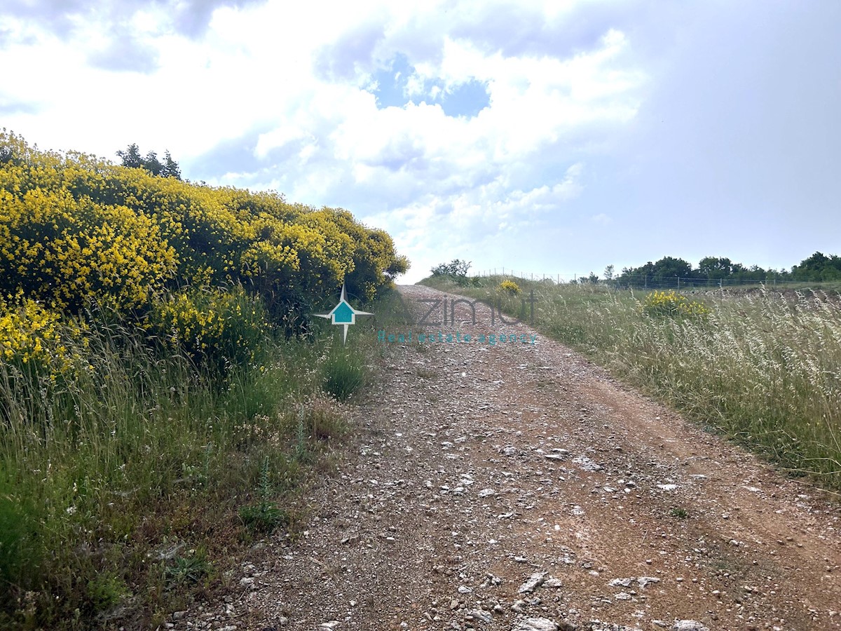 Istra, Vodnjan, 8229m2, kmetijsko zemljišče