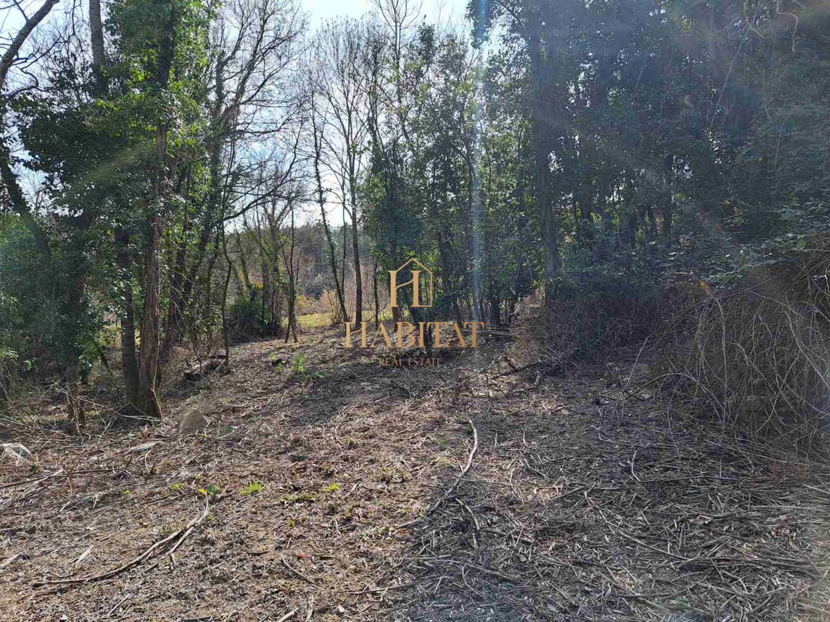 Istra, okolica Krasice, gradbeno zemljišče 1062m2, ruševine 200m2