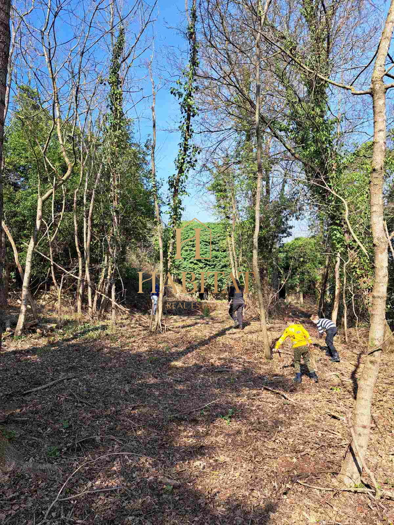 Istra, okolica Krasice, gradbeno zemljišče 1062m2, ruševine 200m2