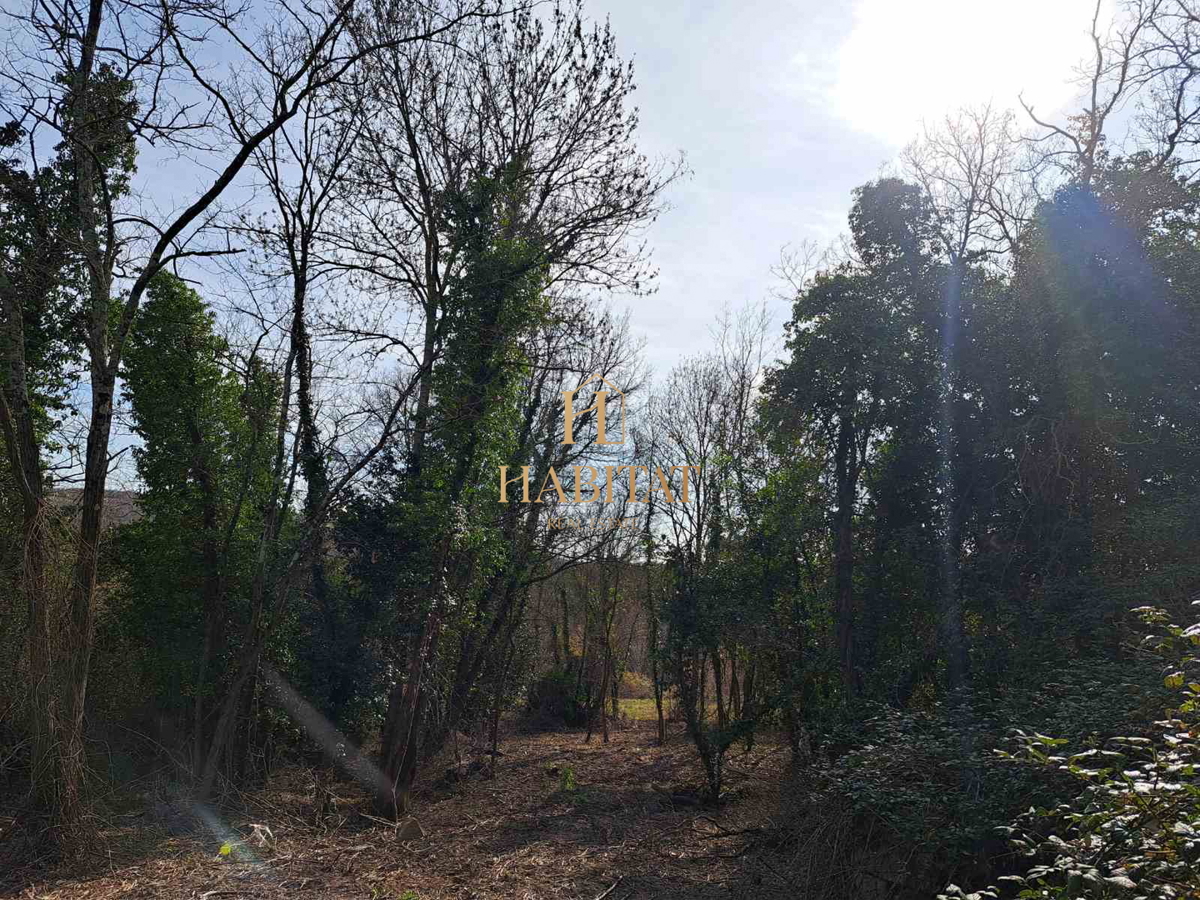 Istra, okolica Krasice, gradbeno zemljišče 1062m2, ruševine 200m2