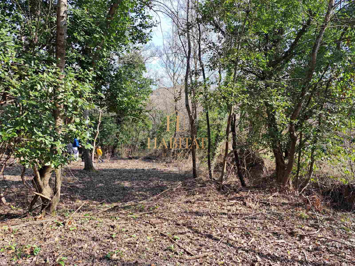 Istra, okolica Krasice, gradbeno zemljišče 1062m2, ruševine 200m2