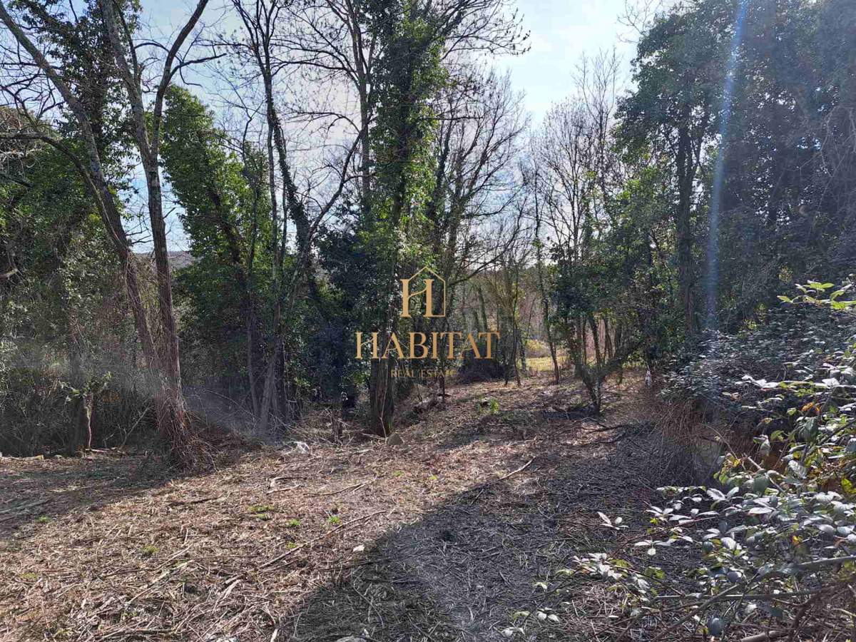 Istra, okolica Krasice, gradbeno zemljišče 1062m2, ruševine 200m2