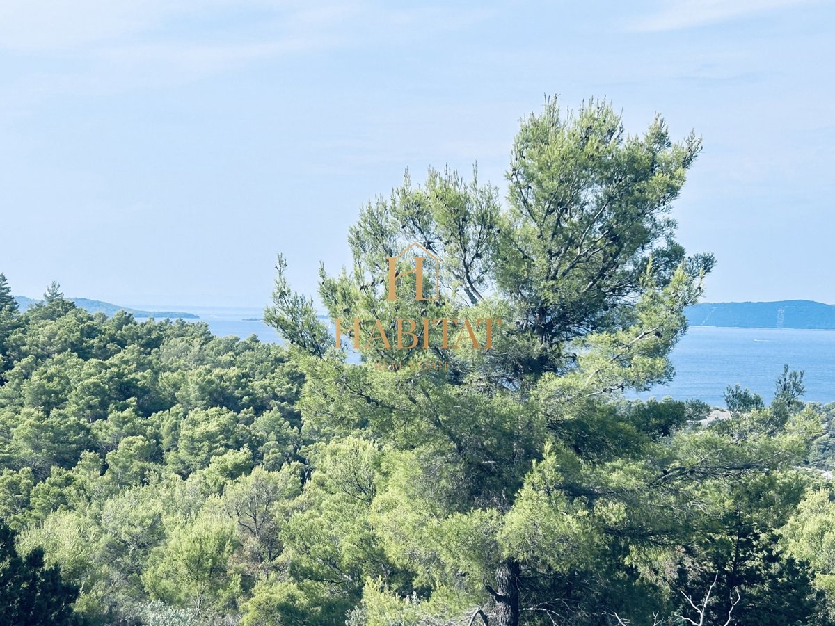 Dalmacija, Brač, Sutivan, parcela 29787m2 z žigom, oljčni nasad