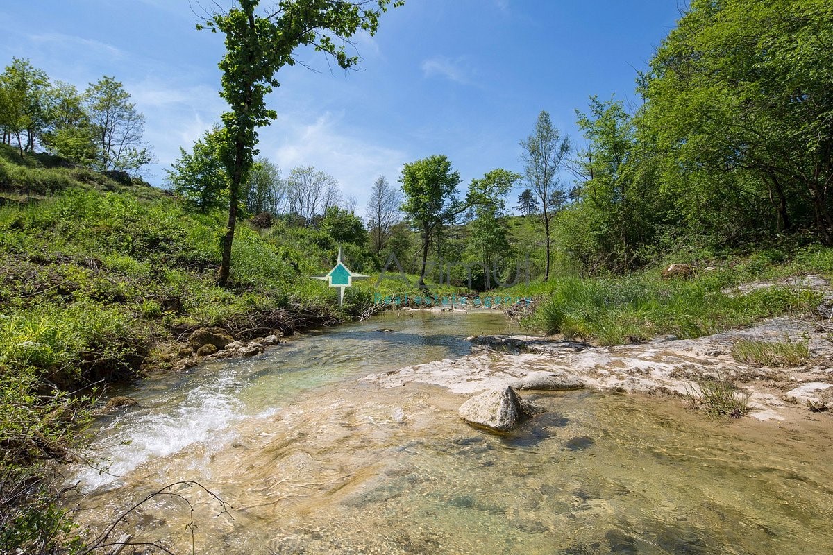 ISTRA, MOTOVUN - Resort, hotel, restavracija, apartmaji, kamp, ​​počitniške hiše , 30.000 parcel