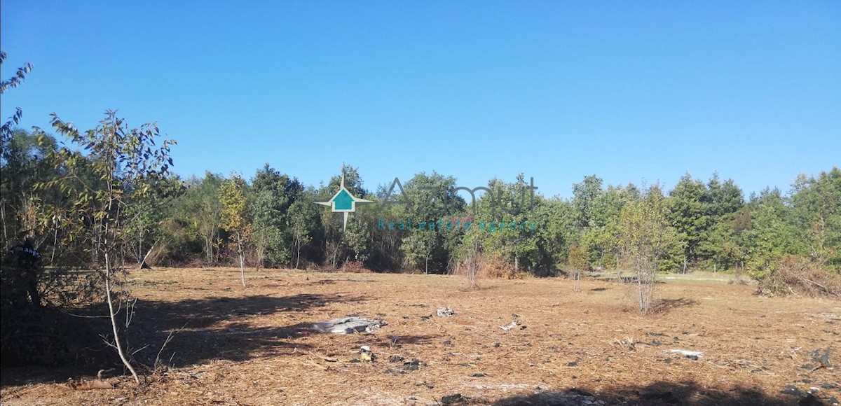 Istra, Sveti Petar v Šumi, kmetijsko zemljišče 4543m2, asfaltna cesta