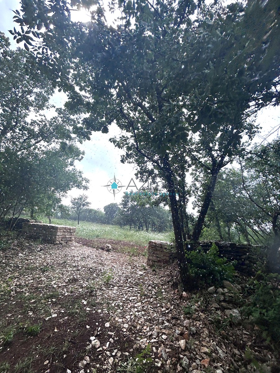 Istra, Vodnjan, kmetijsko zemljišče 1897m2, ograjeno s suhozidom