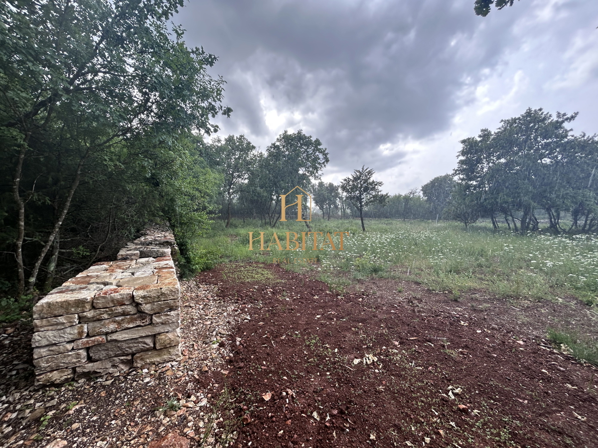 Istra, Vodnjan, kmetijsko zemljišče 1897m2, ograjeno s suhozidom