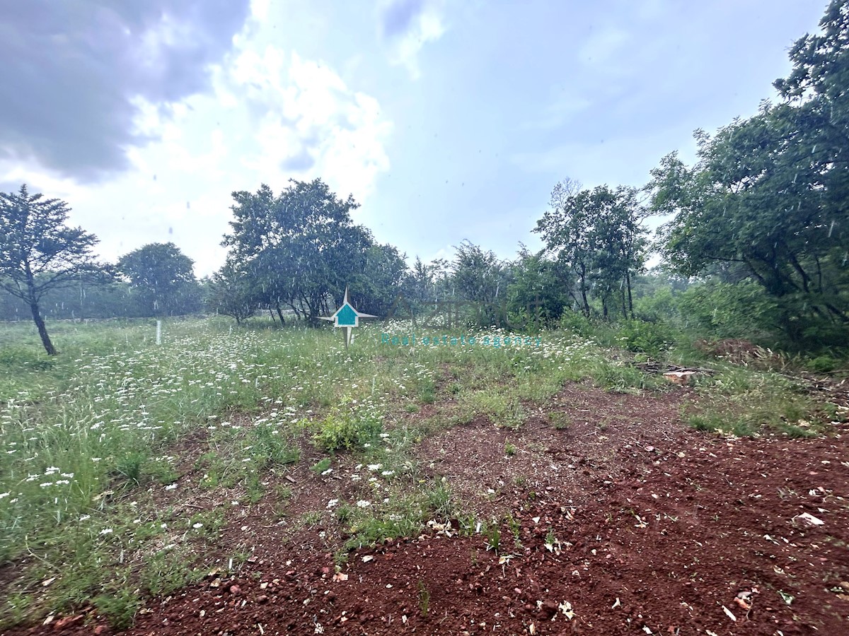 Istra, Vodnjan, kmetijsko zemljišče 1897m2, ograjeno s suhozidom