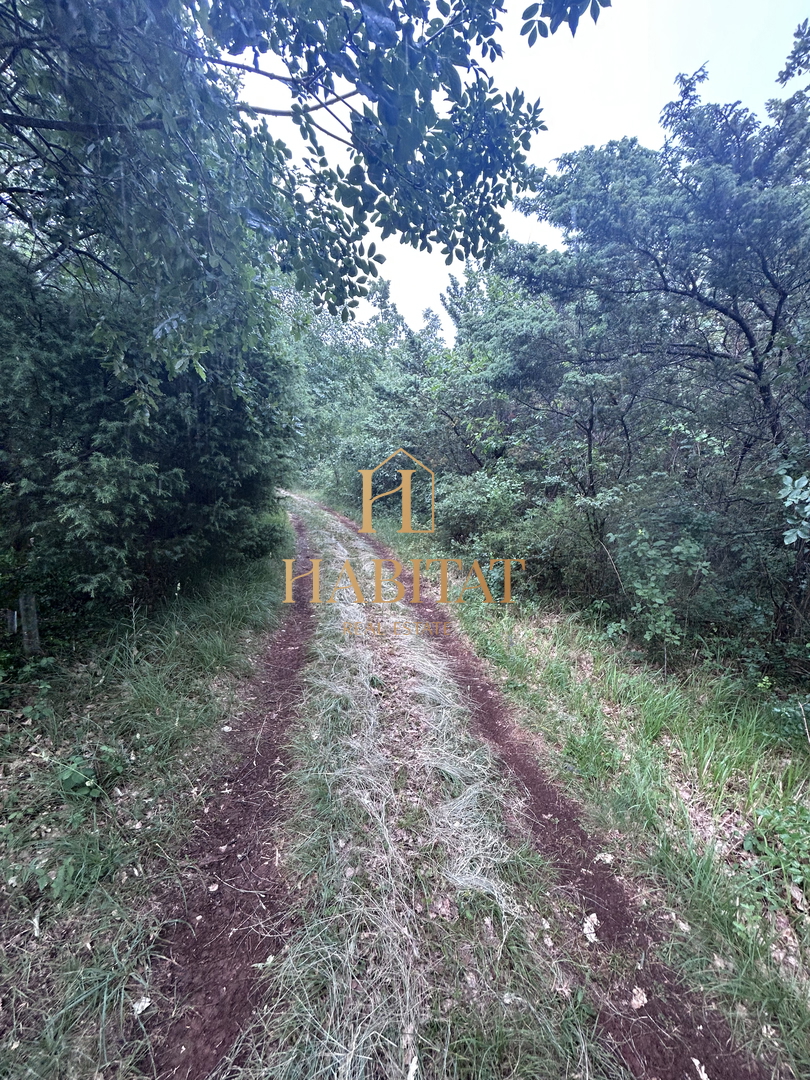 Istra, Vodnjan, kmetijsko zemljišče 1897m2, ograjeno s suhozidom