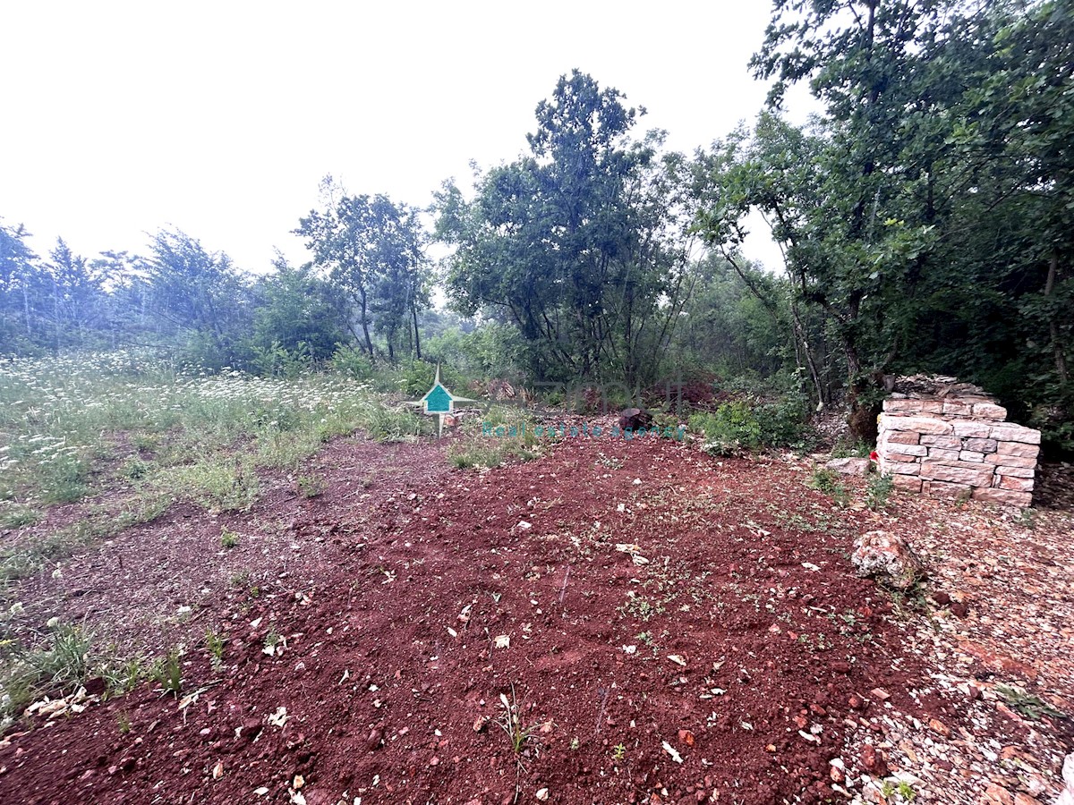 Istra, Vodnjan, kmetijsko zemljišče 1897m2, ograjeno s suhozidom