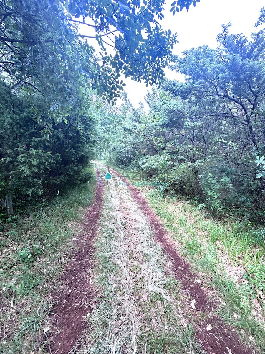 Istra, Vodnjan, kmetijsko zemljišče 1897m2, ograjeno s suhozidom