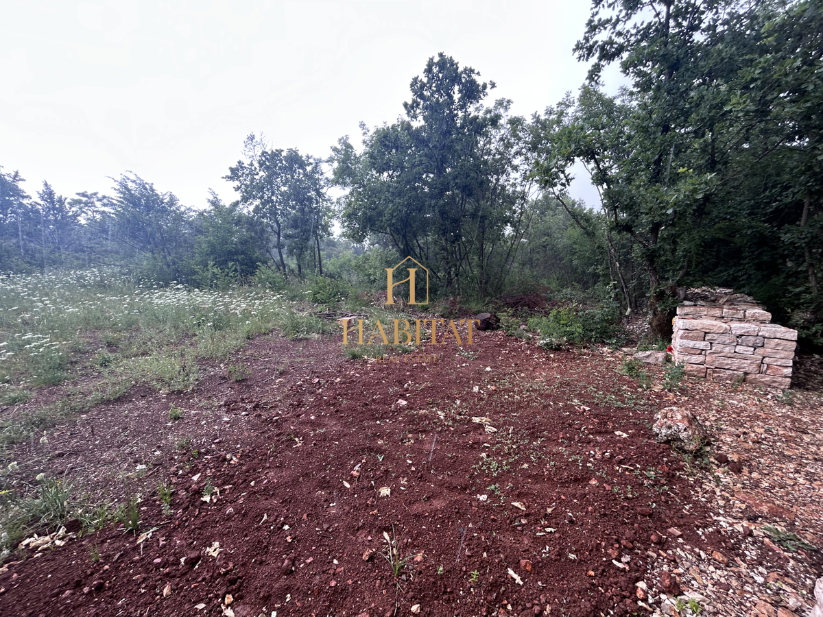 Istra, Vodnjan, kmetijsko zemljišče 1897m2, ograjeno s suhozidom