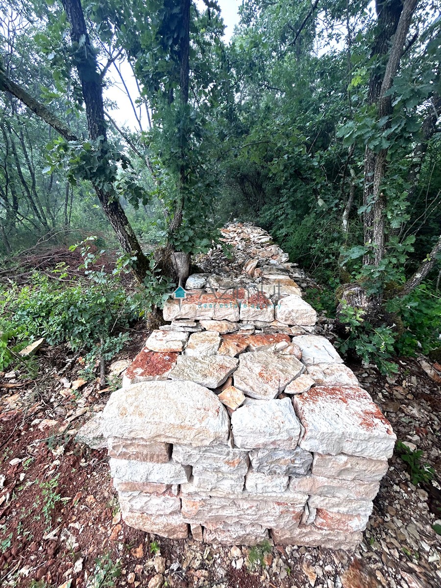 Istra, Vodnjan, kmetijsko zemljišče 1897m2, ograjeno s suhozidom