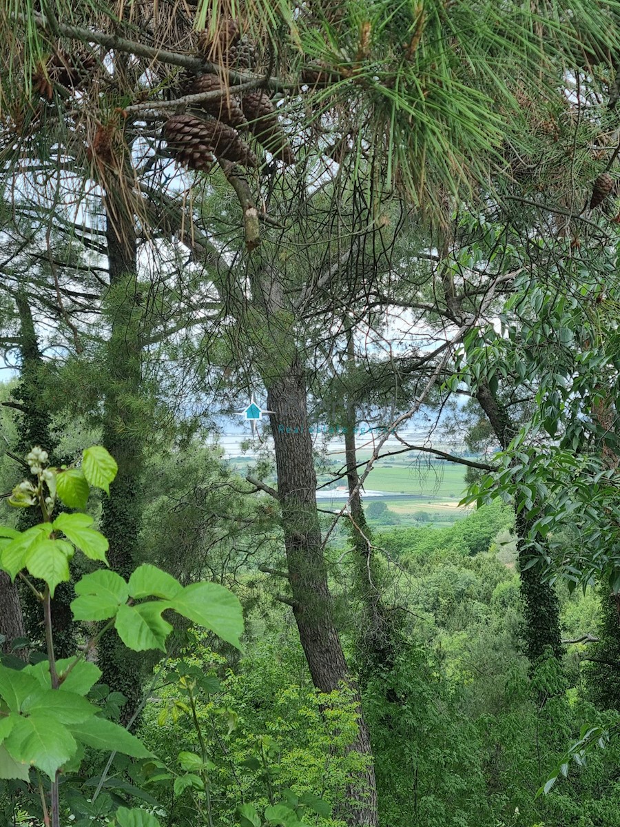 Istra, Buje, Kaštel, gradbeno zemljišče 872m2, pogled na morje