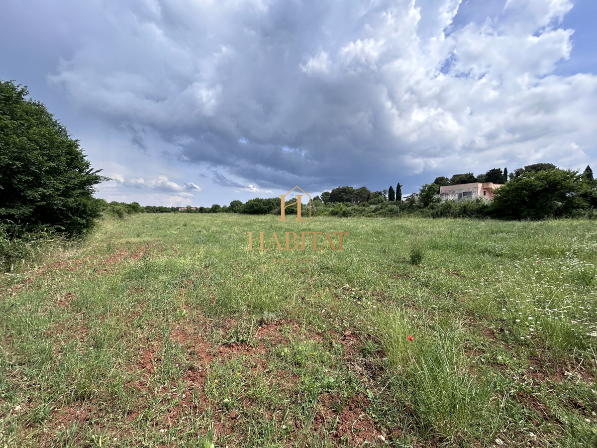 Istra, Vodnjan, gradbeno zemljišče 12642m2, stanovanjsko poslovna cona, center, razgled