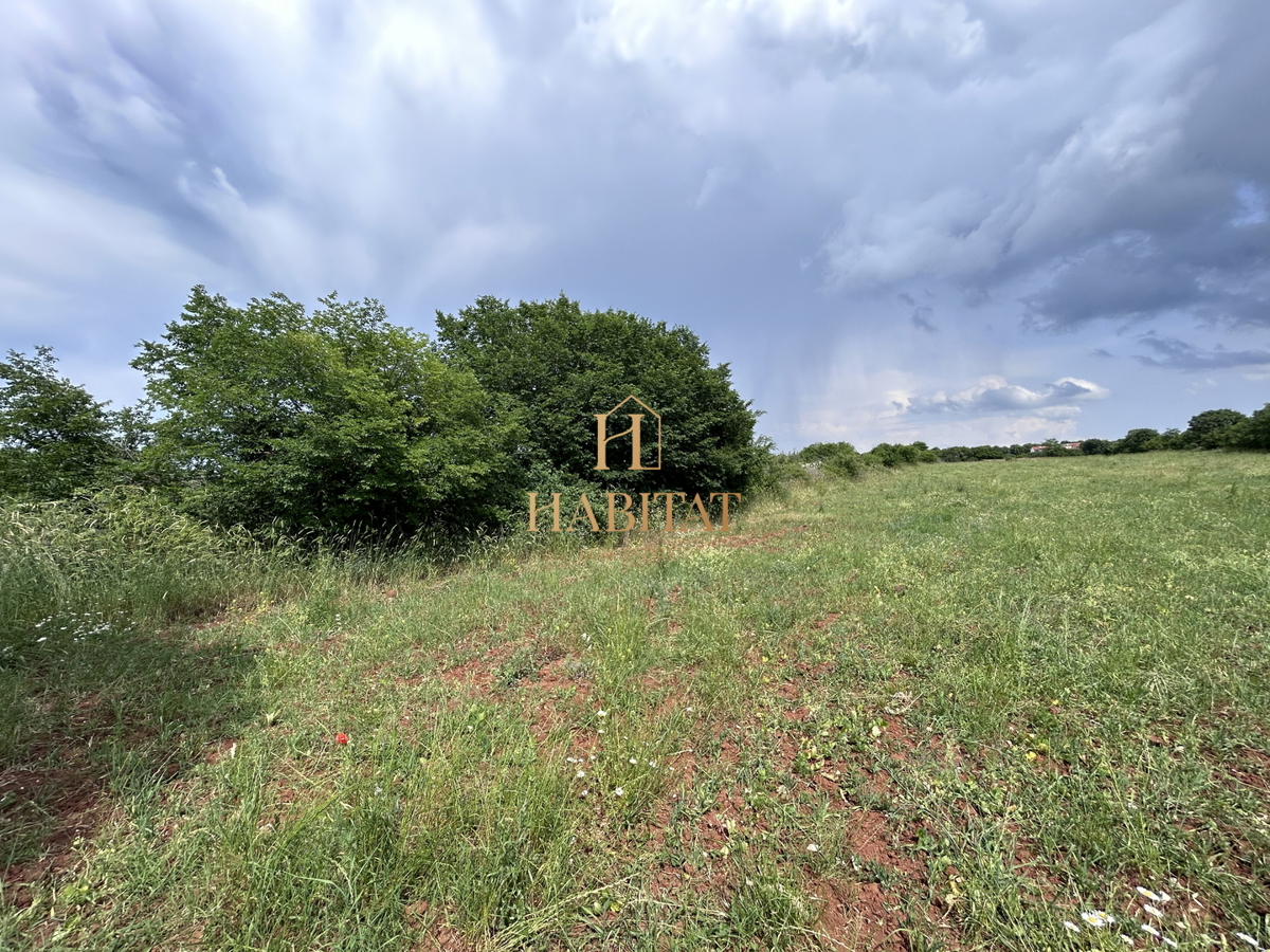 Istra, Vodnjan, gradbeno zemljišče 12642m2, stanovanjsko poslovna cona, center, razgled