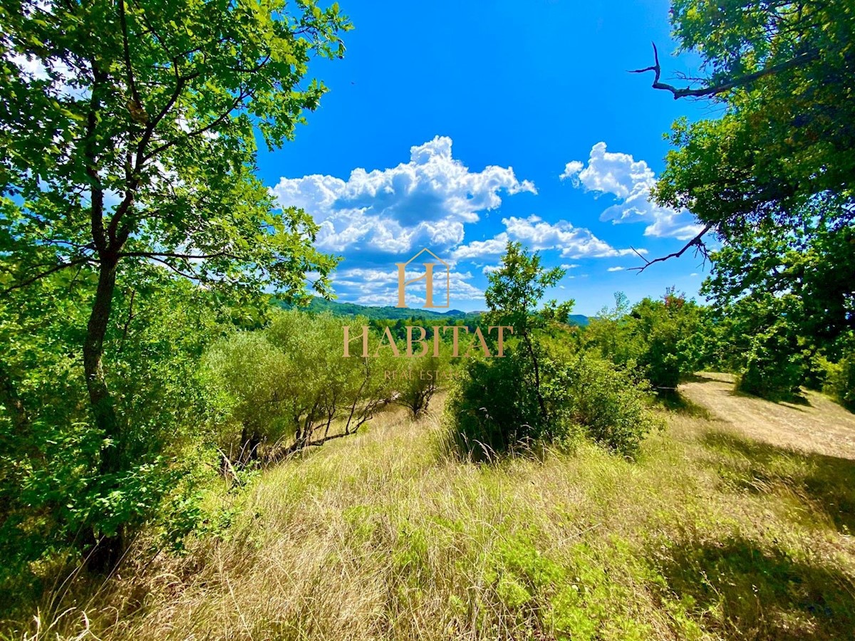 Istra, Draguć, PRILOŽNOST, gradbena parcela na čudoviti lokaciji, stanovanjska namembnost