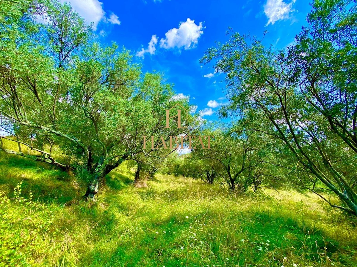 Istra, Draguć, PRILOŽNOST, gradbena parcela na čudoviti lokaciji, stanovanjska namembnost