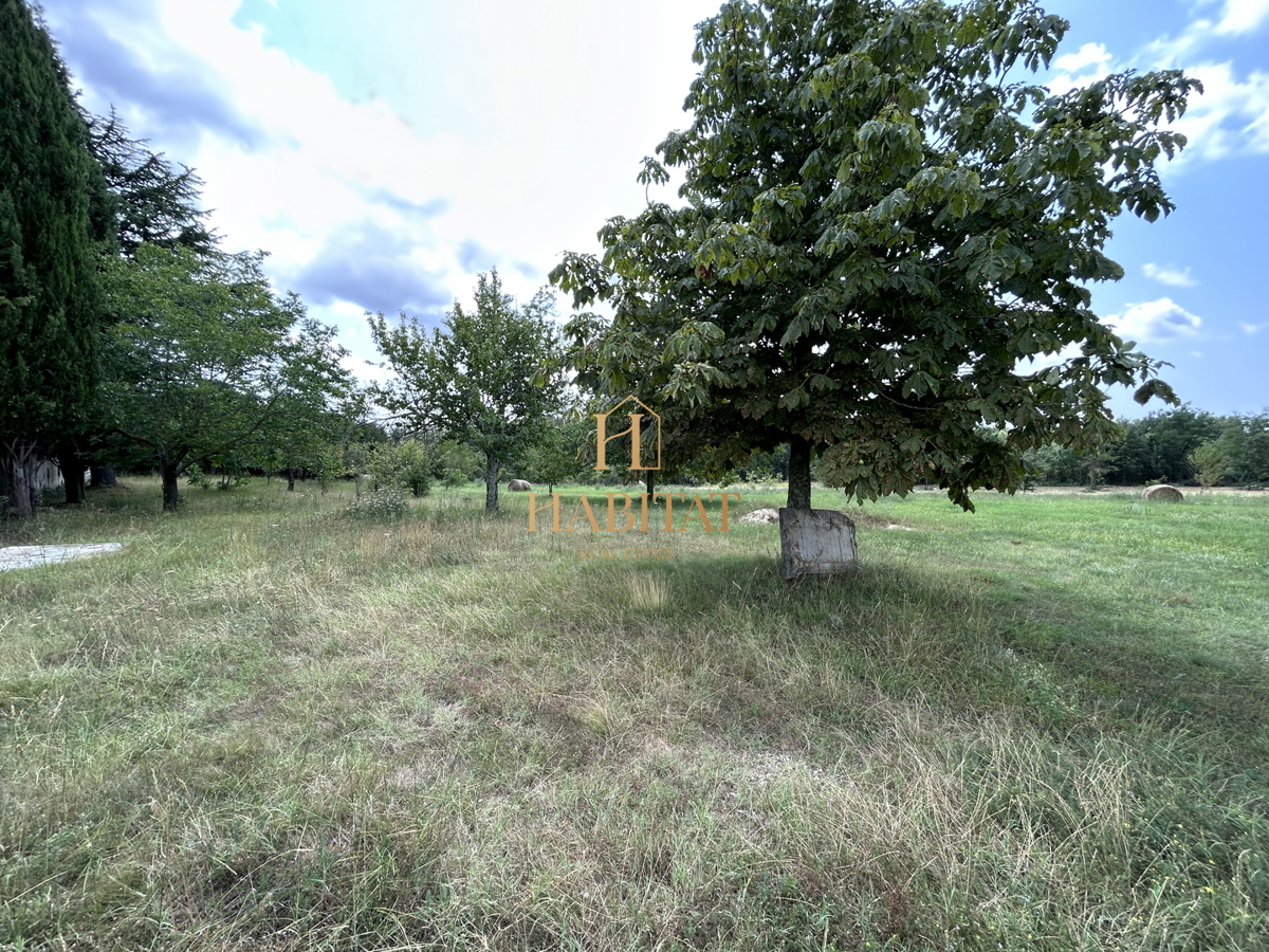 Istra, Žminj, gradbena parcela 2200m2, prodaja