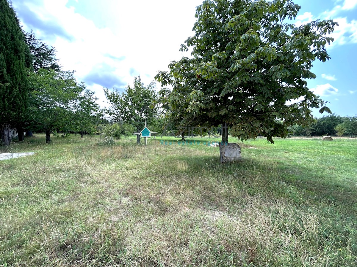 Istra, Žminj, gradbena parcela 2200m2, prodaja