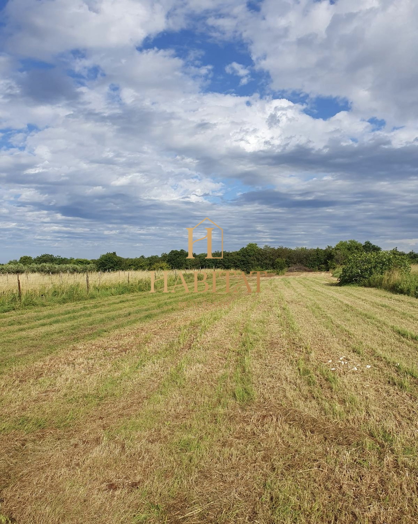 Istra, Ližnjan okolica, zazidljiva parcela 900m2, stanovanjska raba