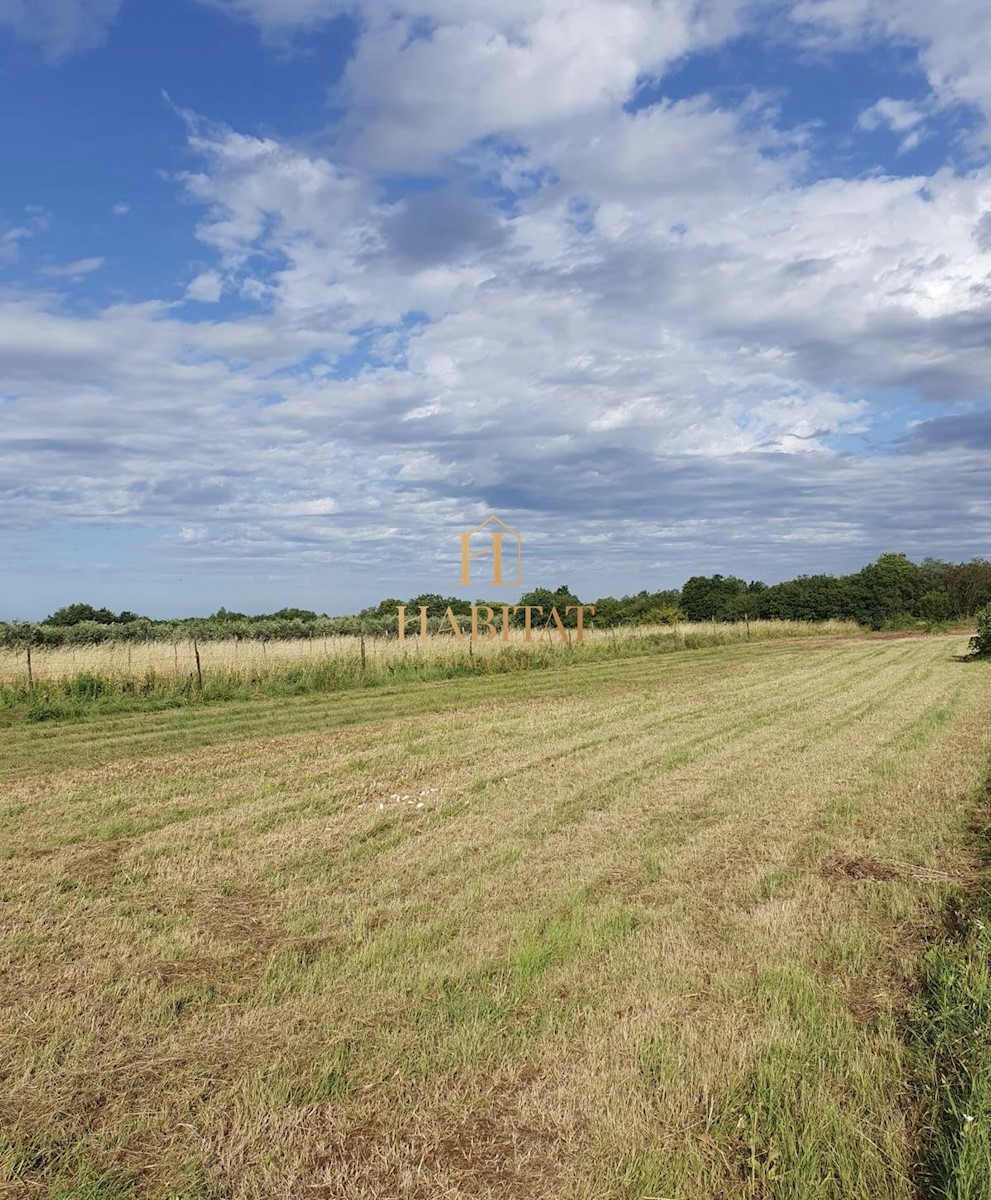 Istra, Ližnjan okolica, zazidljiva parcela 900m2, stanovanjska raba