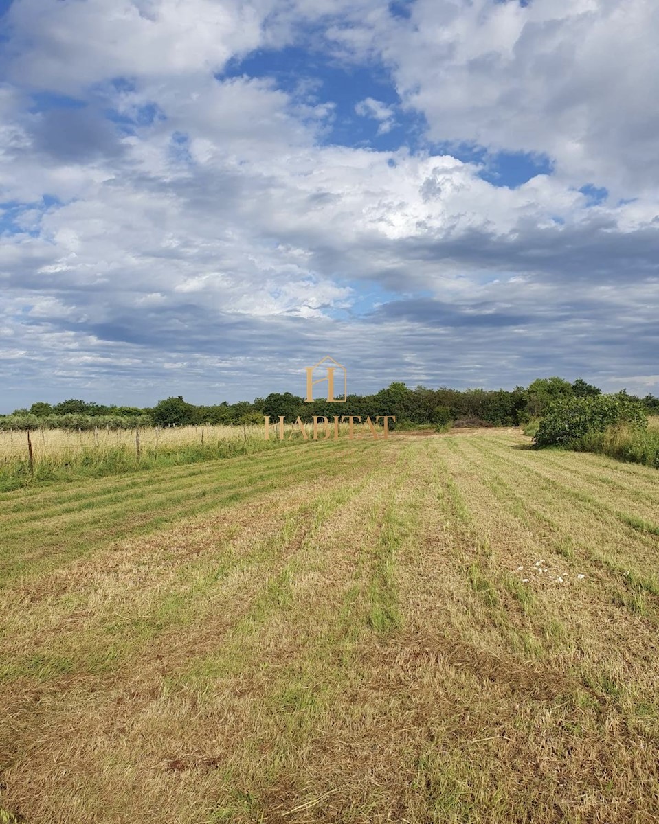 Istra, Ližnjan okolica, zazidljiva parcela 900m2, stanovanjska raba