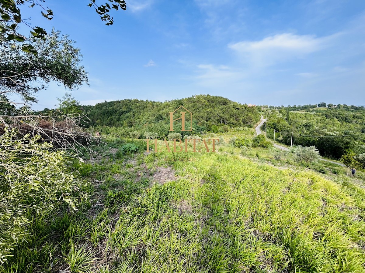 Istra, Krasica, gradbeno zemljišče 2250m2, pogled na morje