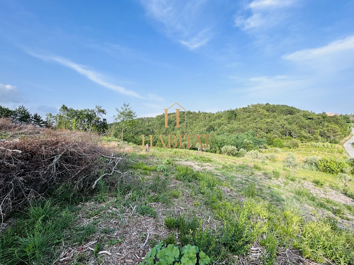 Istra, Krasica, gradbeno zemljišče 2250m2, pogled na morje