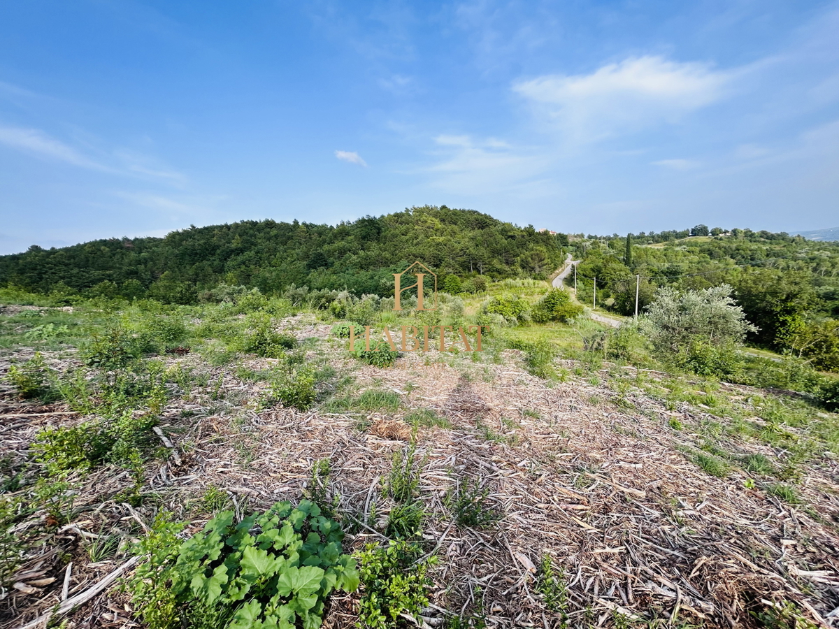 Istra, Krasica, gradbeno zemljišče 2250m2, pogled na morje