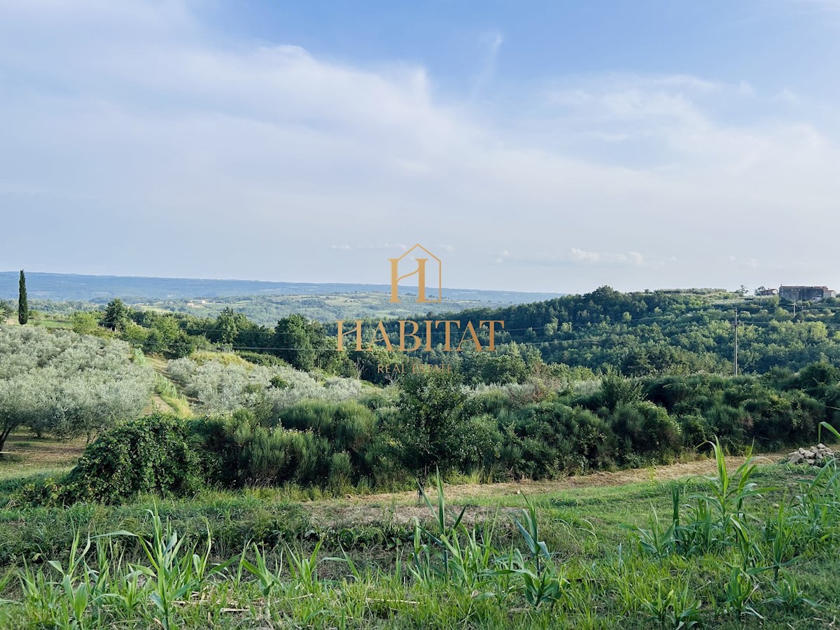 Istra, Krasica, gradbeno zemljišče 2250m2, pogled na morje