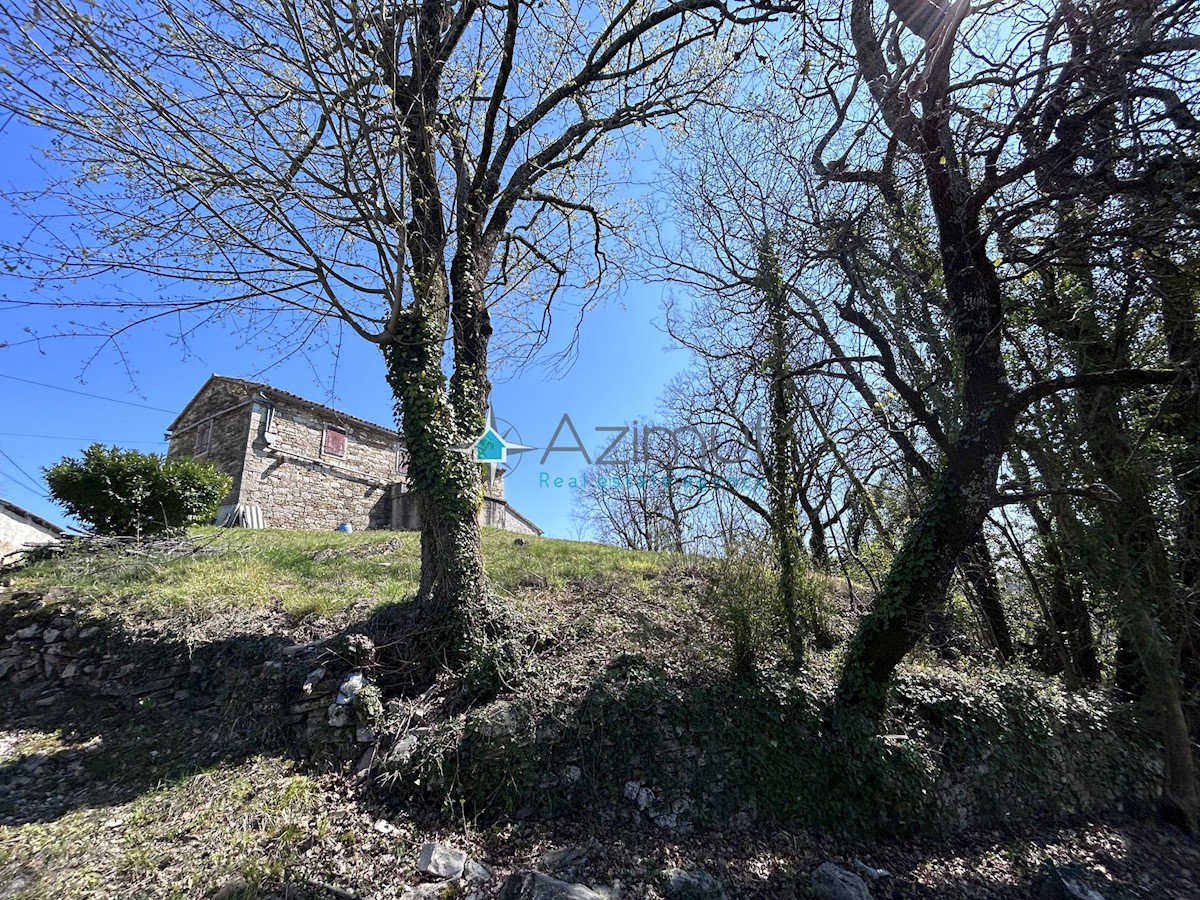 Istra, Gradinje, gozd, pašnik, njiva, travnik, skupaj 148826m2, prodaja 1,5€/m2.