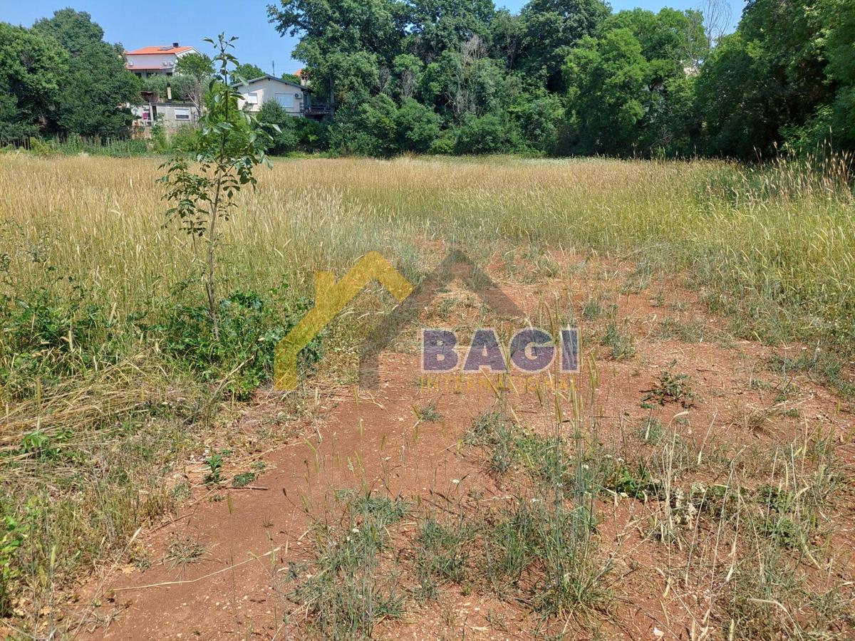 Zazidljivo zemljišče 746 m2 + kmetijsko zemljišče 310 m2 - Loborika