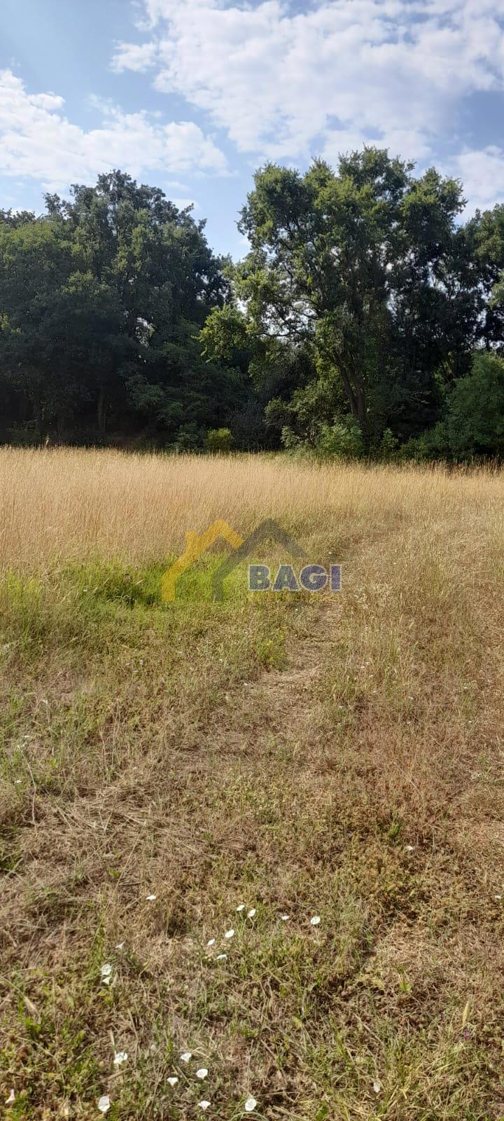 Zazidljivo zemljišče 746 m2 + kmetijsko zemljišče 310 m2 - Loborika
