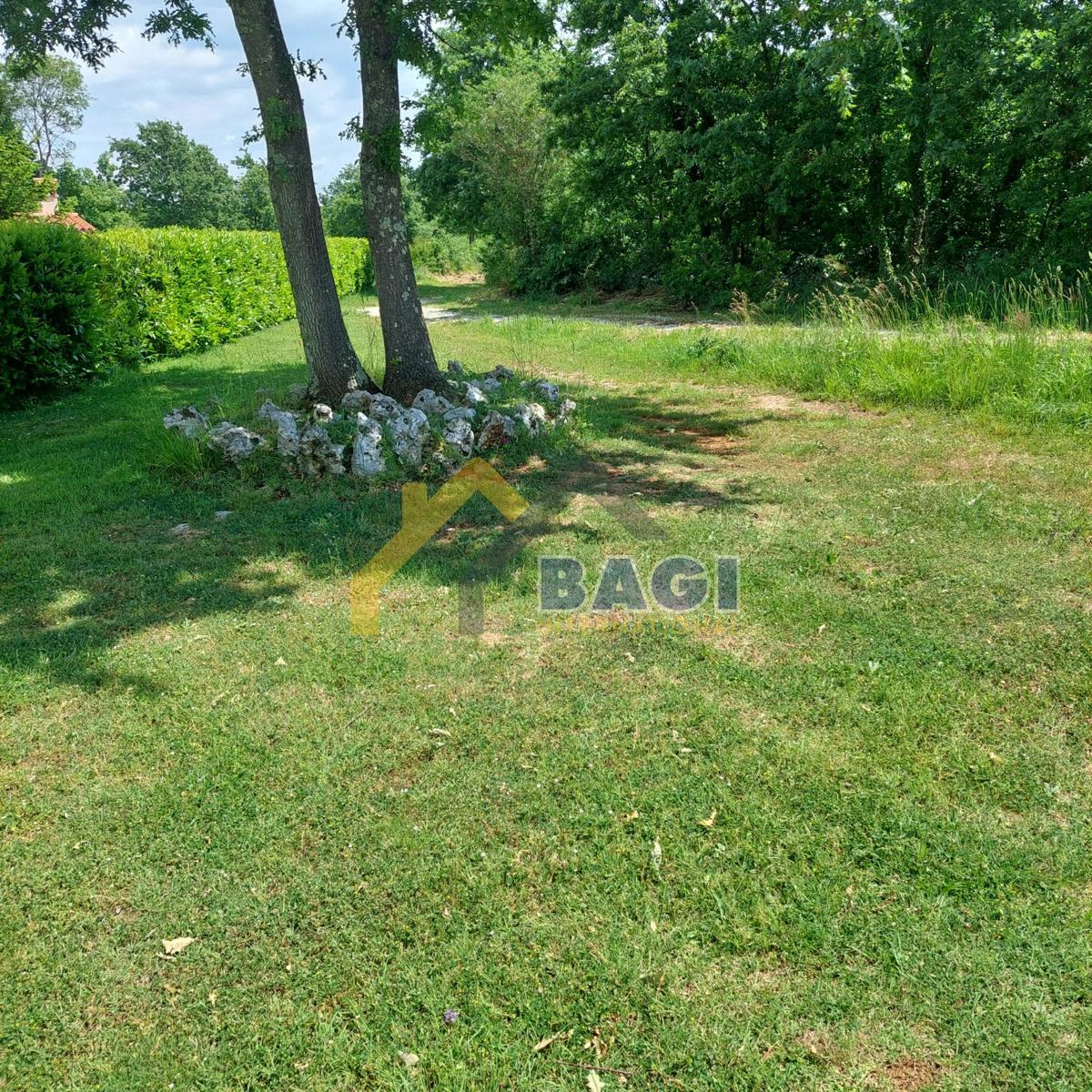 Istra - Velika gradbena parcela 1143m2