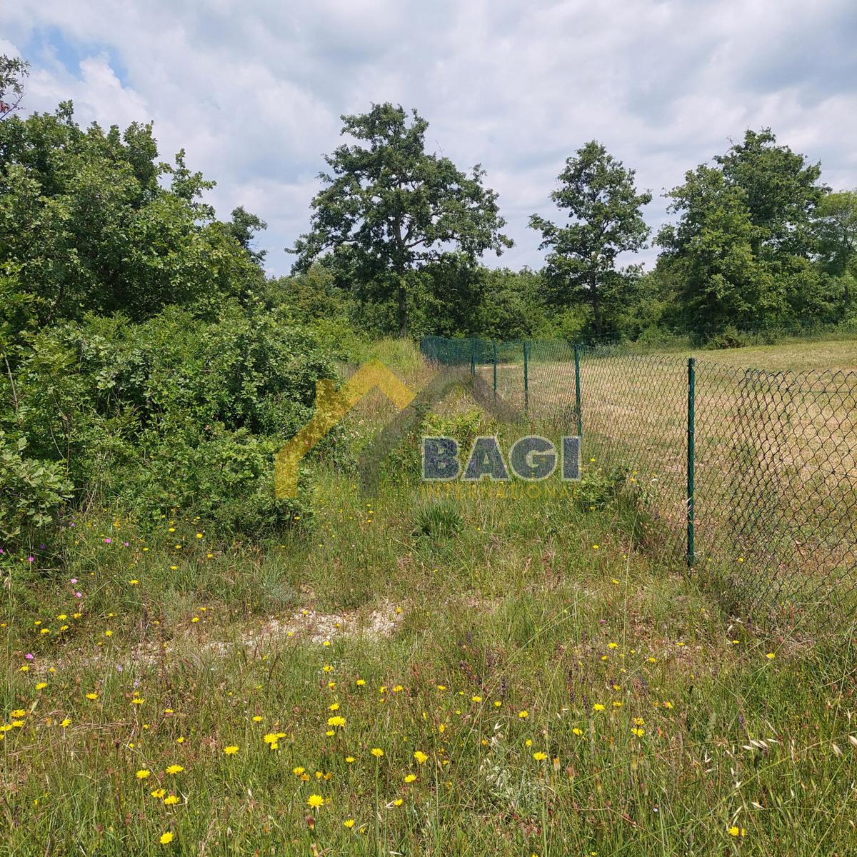Istra - Velika gradbena parcela 1143m2