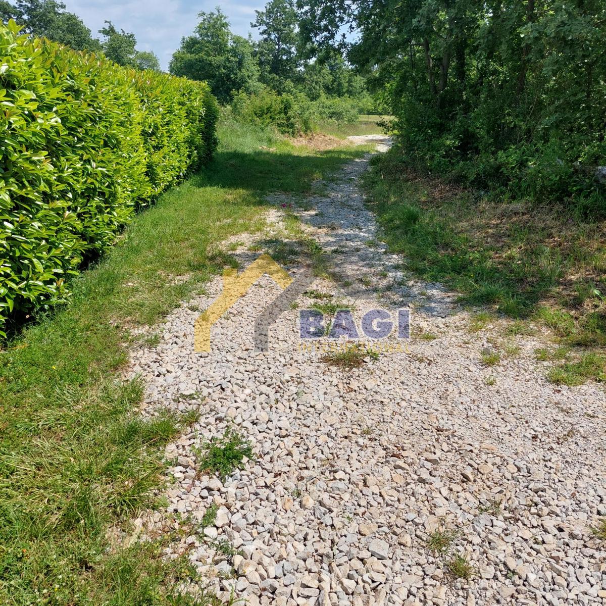 Istra - Velika gradbena parcela 1143m2