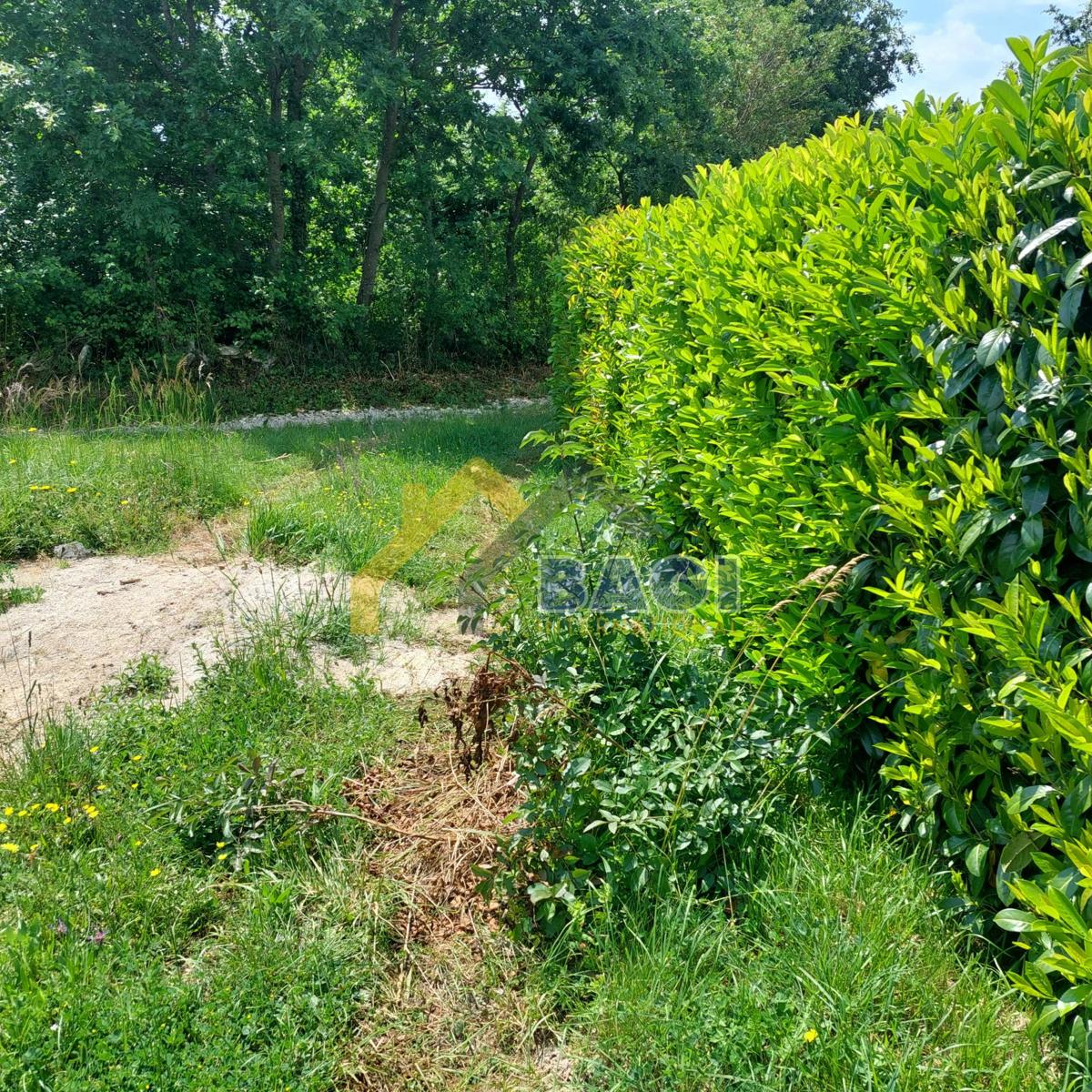 Istra - Velika gradbena parcela 1143m2