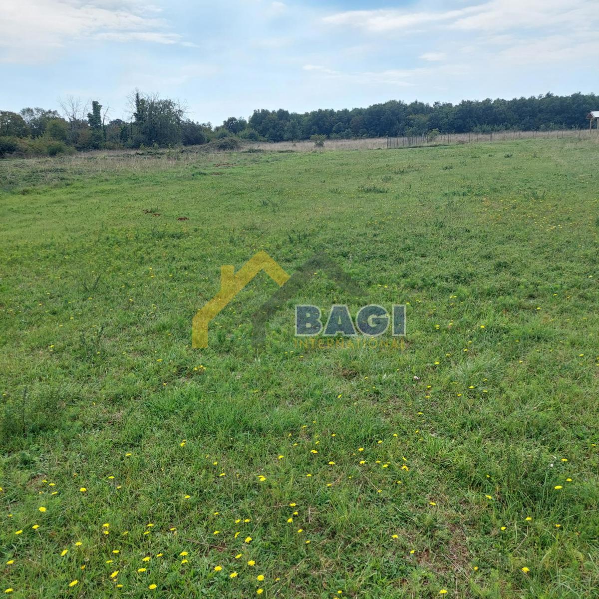 Loborika - Gradbeno zemljišče 1085m2 za stanovanjsko stavbo