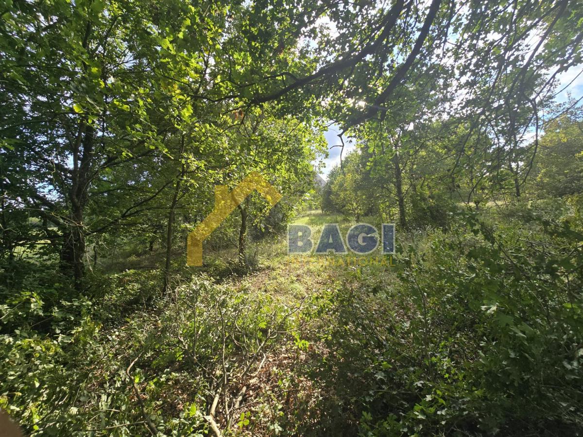 KRNICA – Kmetijsko zemljišče 3.854 m²