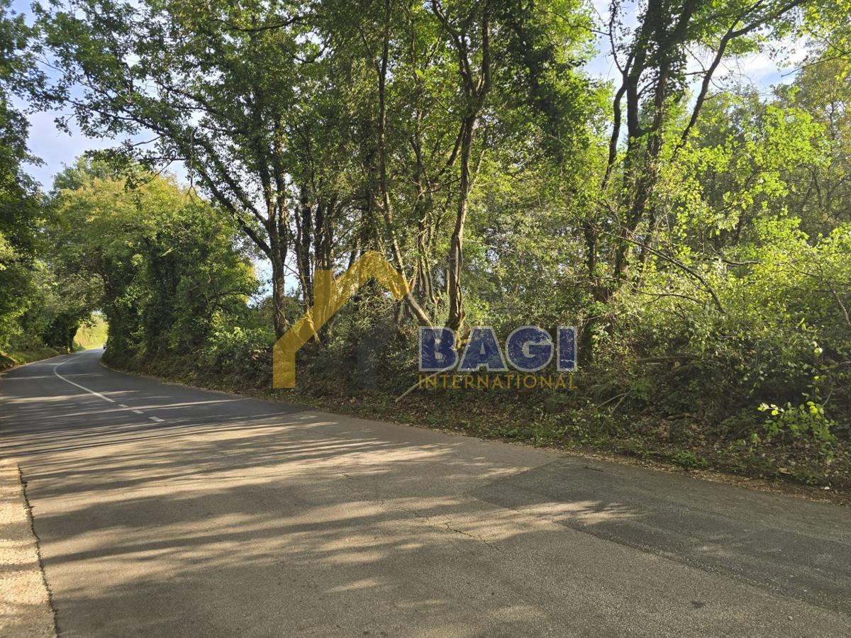 KRNICA – Kmetijsko zemljišče 3.854 m²