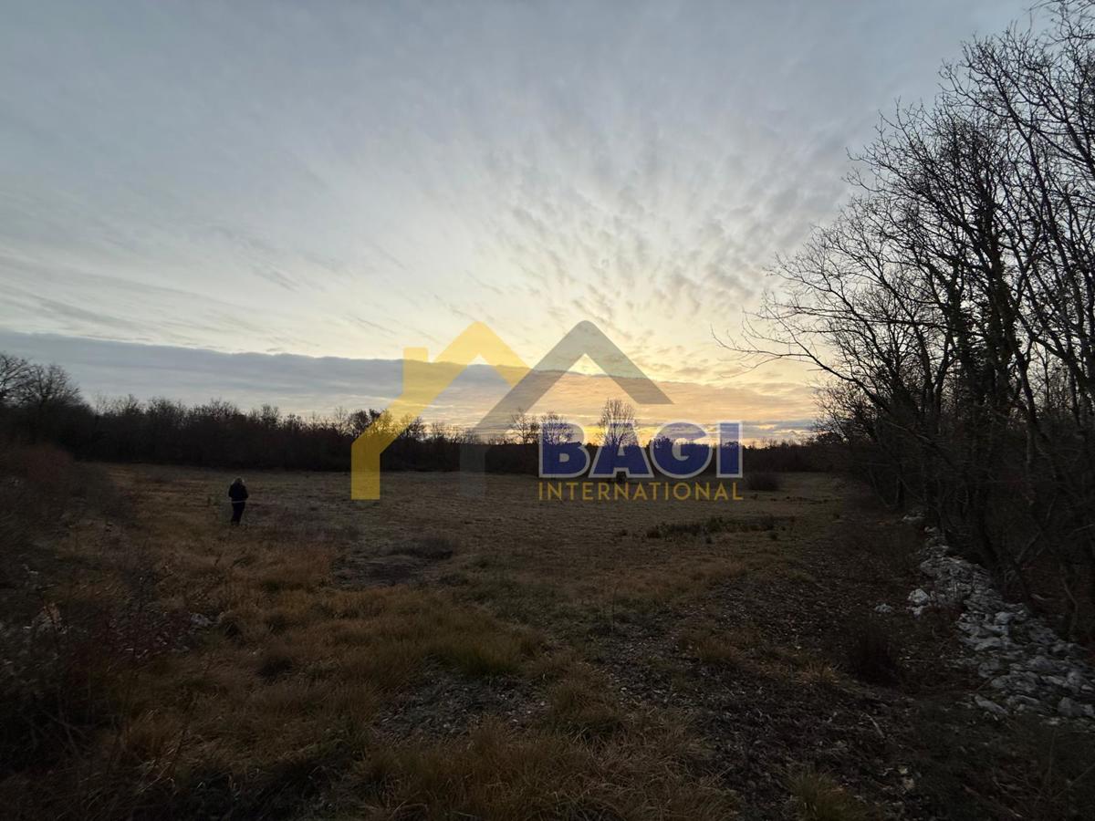 PRILOŽNOST – Kmetijsko zemljišče 3.660 m² v KRNICI