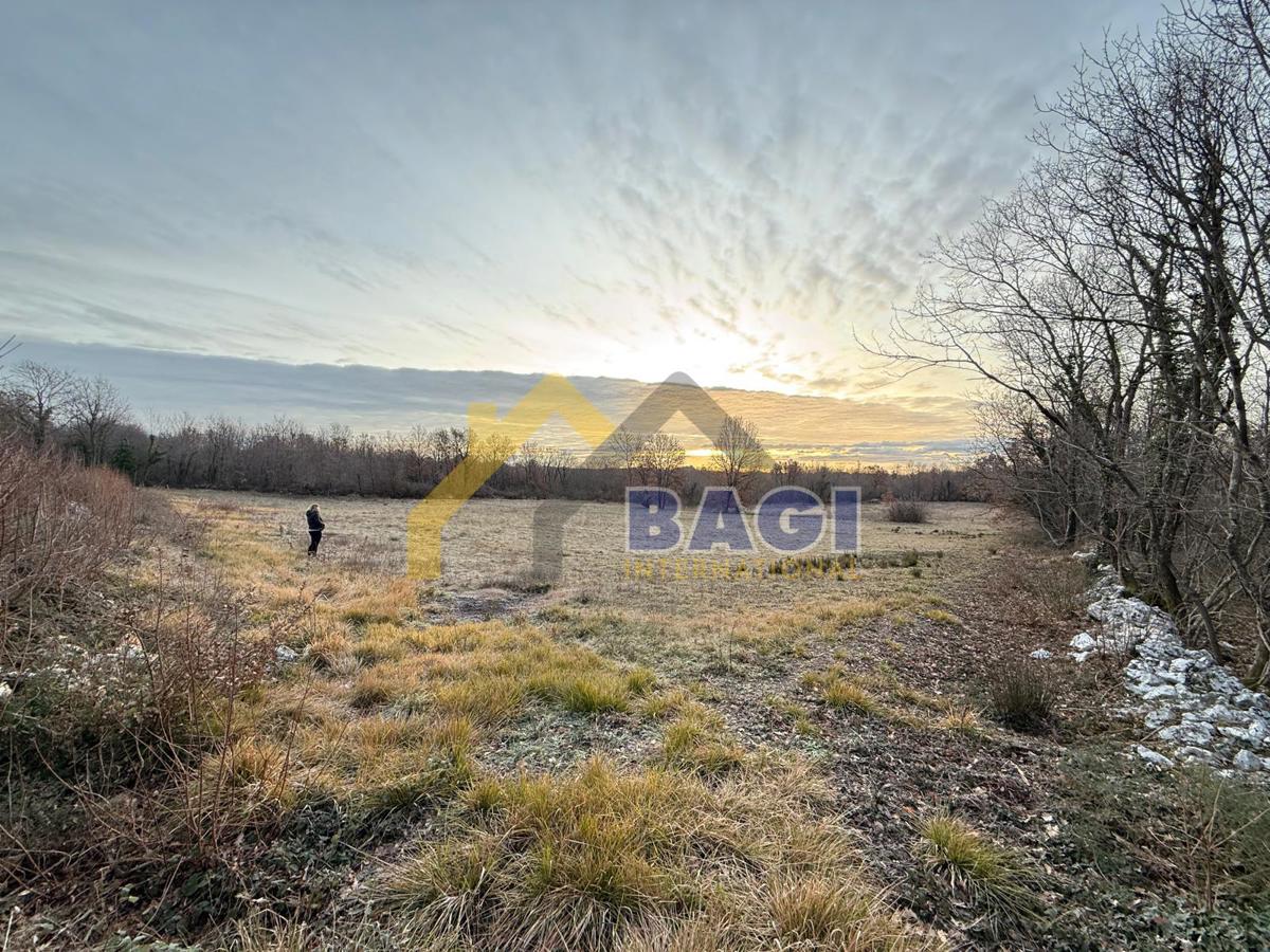 PRILOŽNOST – Kmetijsko zemljišče 3.660 m² v KRNICI