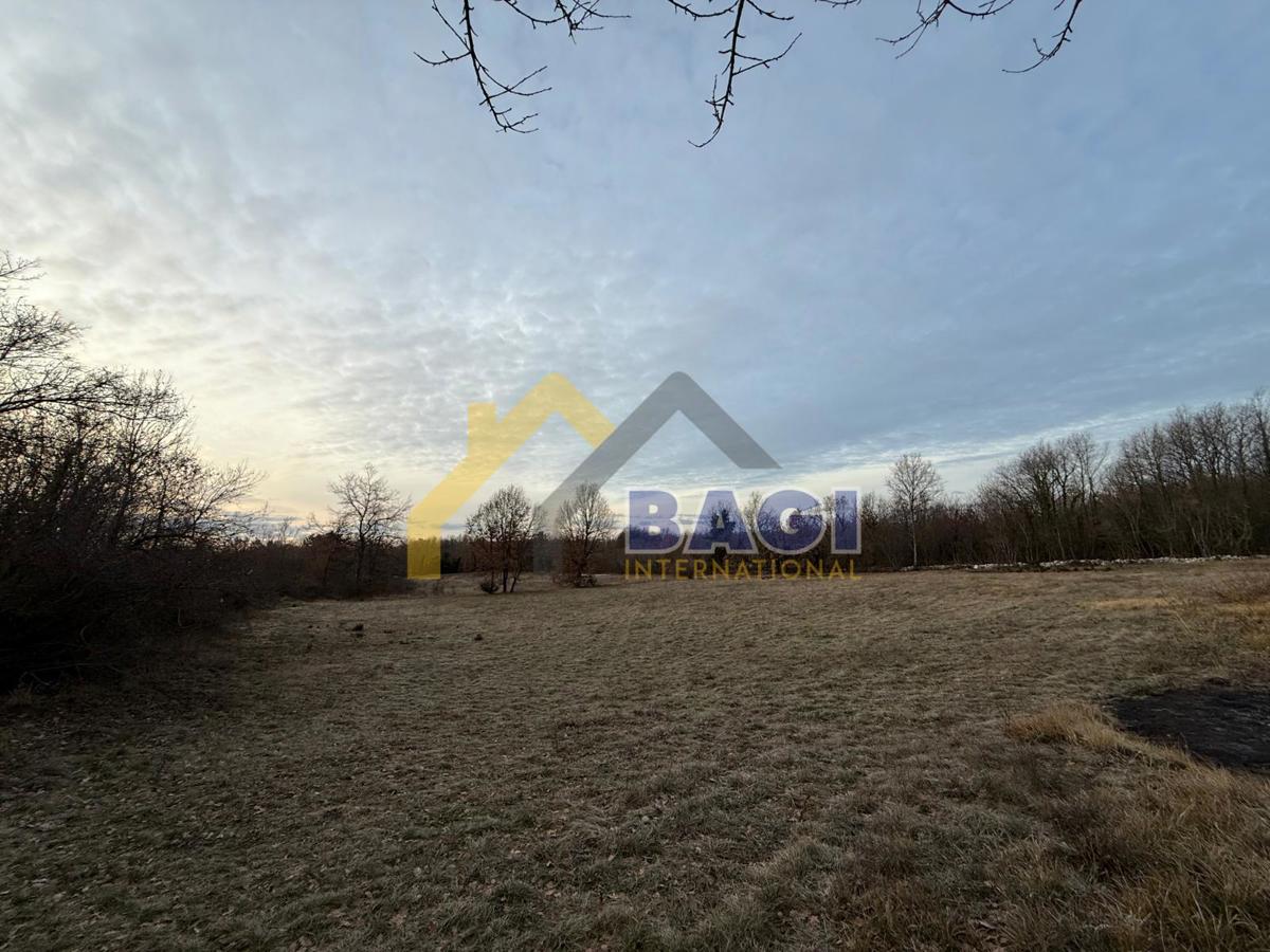 PRILOŽNOST – Kmetijsko zemljišče 3.660 m² v KRNICI