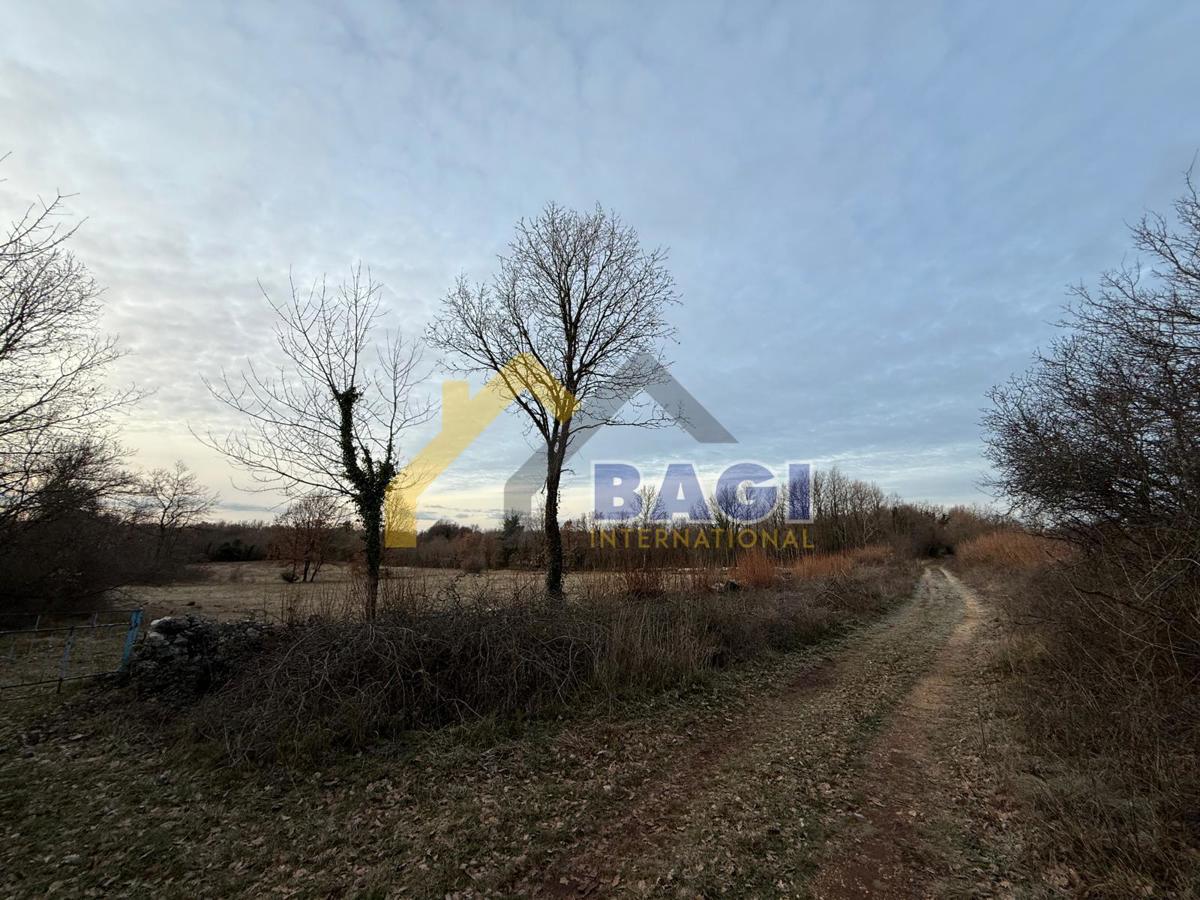 PRILOŽNOST – Kmetijsko zemljišče 3.660 m² v KRNICI