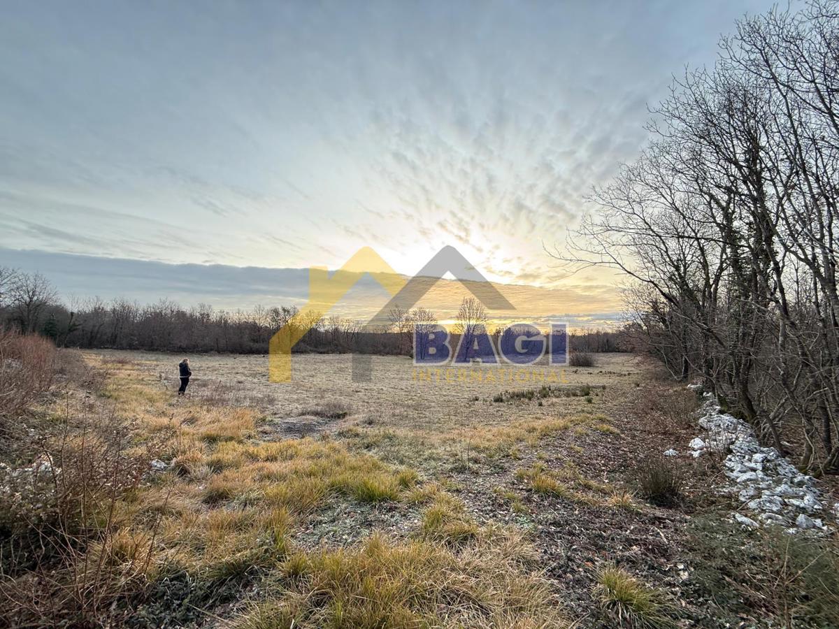 PRILOŽNOST – Kmetijsko zemljišče 3.660 m² v KRNICI